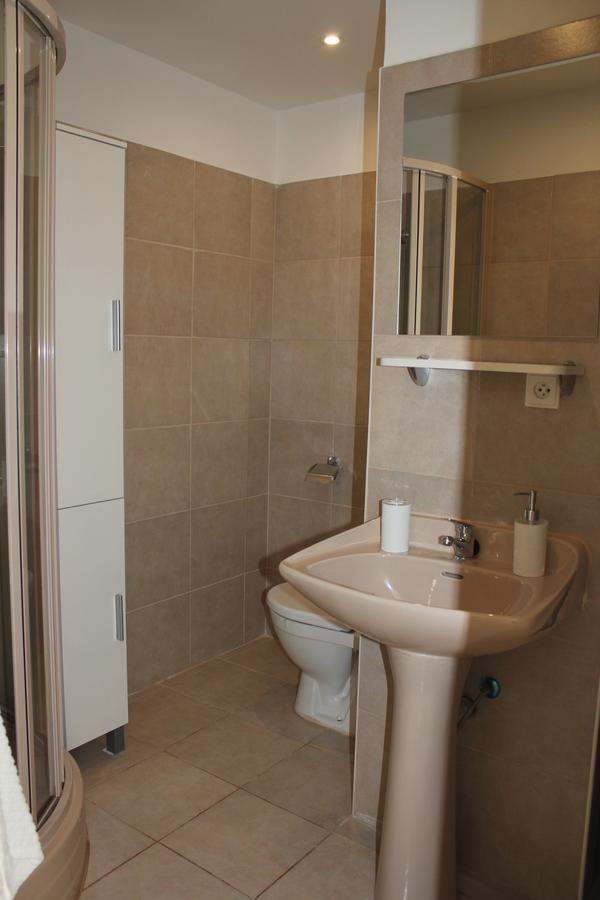 Viktorie Apartment Frýdek-Místek Екстериор снимка
